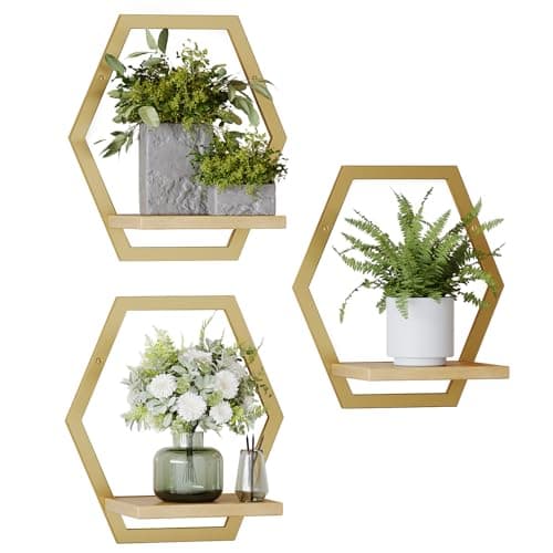 Rioneta 3 Packs Wall Plant Stands Indoor, 9inch Metal Wall Mounted Shelf with Soild Wood Display Ledge, Modern Decorative Floating Shelves 25 LB Load for Plants, Bedroom Living Room Bathroom Decor(golden)