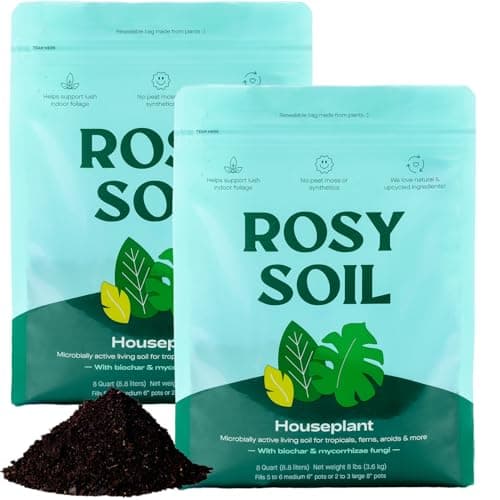 Rosy Soil Indoor Potting Soil for House Plants, 2 x 8 qrt - Organic Potting Soil Mix for Indoor Plants -Enriched w/Root-Boosting Biochar for Foliage Plants, Flowers, Herbs - Pack of 2