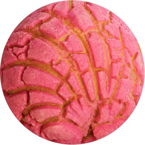 74in Concha Blanket White Elephant Gifts for Adults Useful Throw Blankets Women Men Party Cool Stuff Novelty Gag Soft Fleece Wrap Sweet Shell Bread