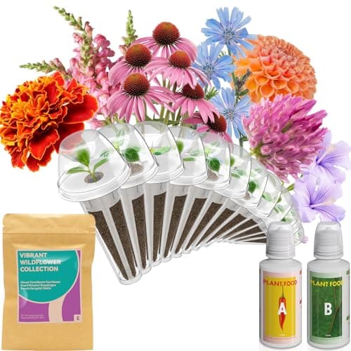 inbloom Flower Seed Pod Kit for AeroGarden, iDoo, Ahopegarden, GARDENCUBE, MUFGA Hydroponics, 12 Pods (350+ Seeds with Coneflower, Petunia, Snapdragon, French Marigold, Dahlia)