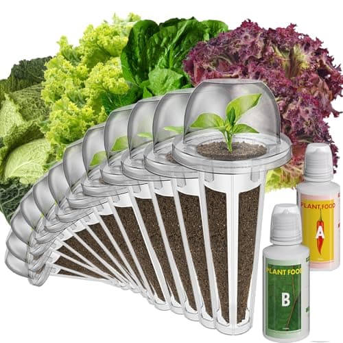 inbloom Salad Seed Pod Kit Compatible with AeroGarden, Ahopegarden, iDoo, MUFGA Hydroponics Growing System, 400+ Mixed Seeds with American Fast/Paris Island/Buttercrunch/Romaine Lettuce (12-Pod)
