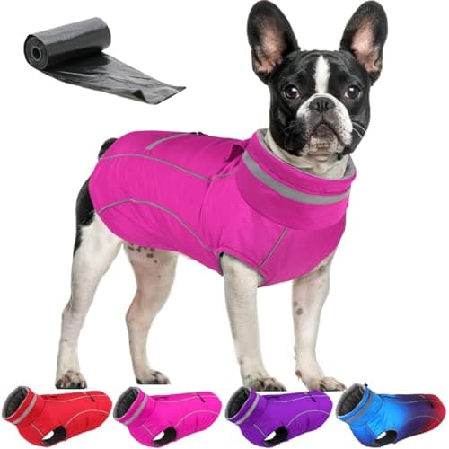 Doglay Waterproof Dog Coat, Reflective Dog Winter Jacket with Pocket & Turtleneck, Warm Puppy Snow Jacket for Small Medium Large Dogs - Pink, S