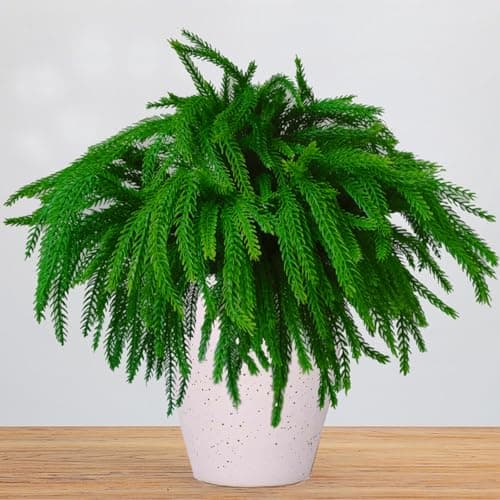 ANROUIN Real Touch Norfolk Pine Picks Christmas Plants Stems Branches Needles Fake Flowers Xmas Greenery twig Decoration for Floral vases DIY Craft Garland Wreath Arrangements Centerpiece Home Decor